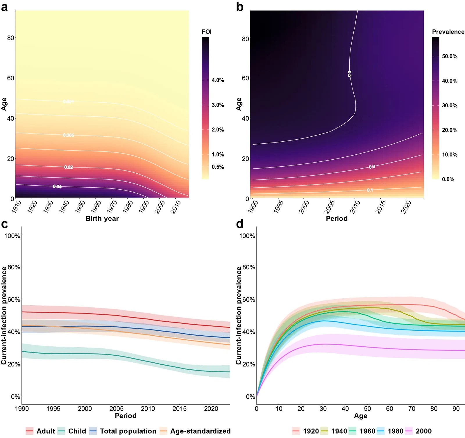 Four panels. a: force of infection by age and birth year. b: current-infection prevalence by age and period. c: prevalence over time for adults, children, the total population and age-standardized. d: prevalence by age for the 1920, 1940, 1960, 1980 and 2000 birth cohorts.