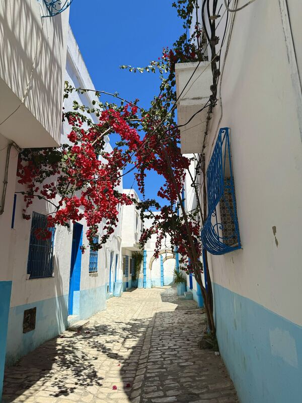 Sidi Bou Saïd, Tunisia